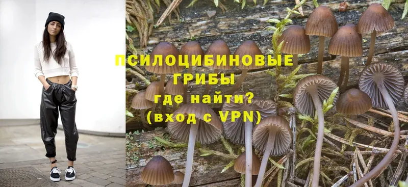 Псилоцибиновые грибы MAGIC MUSHROOMS  что такое наркотик  Кирс 